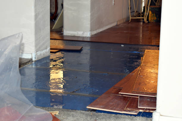 Professional Basement Flood Cleanup technician working in Andrews, NC